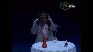 FUNNIEST MONKEY PERFORMANCE.