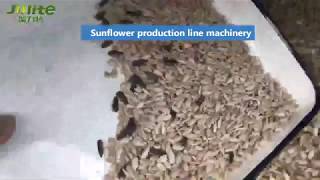 Sunflower Seed Cleaner Julite Machinery