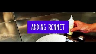 04 - Basic Steps of Hard Curd Cheese Making - Adding Rennet