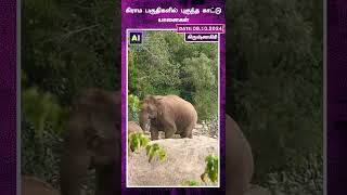 கிராம பகுதிகளில் புகுந்த காட்டு யானைகள் | Hosur | | Krishnagiri | | Wild Elephants | | Rural Areas