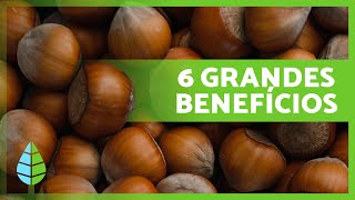 6 BENEFÍCIOS Incríveis das AVELÃS 🌰 (Propriedades Medicinais e Como Consumi-las)