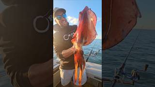 We caught a GIANT SQUID in real life! #giantsquid #squid #kraken #irl #seamonster #fishing #wild