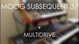 Resonance + multidrive = gritty goodness // Moog Subsequent 37