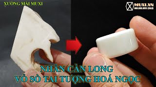 [Hướng dẫn chế tác] Nhẫn càn long vỏ sò tai tượng hoá ngọc