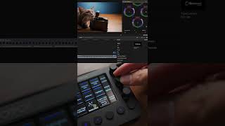 Video Editor’s SECRET WEAPON - Loupedeck Live