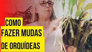 🟣 COMO FAZER MUDAS DE ORQUIDEAS