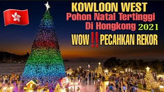 RUTE POHON NATAL TERTINGGI DI HONGKONG ‼️ BESAR & TINGGINYA 20 METER - TKW HONGKONG