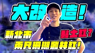 【藍箱水族】大改造更換造景！神奇黏土！魚缸翻缸GO！