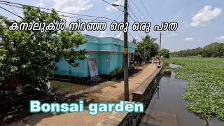 കനാലുകൾ നിറഞ്ഞ ഒരു ഒരു പാത | Bonsai Garden