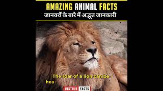 Rocking Facts About Animals 🦃| Insane Facts | Amazing Facts #shorts #justujufacts