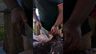 CRAZY Stingray Fish Cutting in Market #fishing