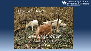 Have You Herd? Episode 18 Why Small Ruminants