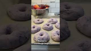 Blueberry sourdough bagels