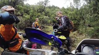 Suzuki DR350 vs Muddy Single Track