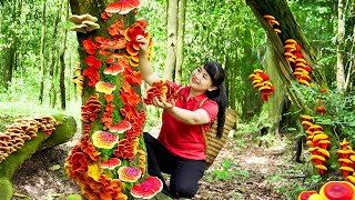 How to Harvest Wood ear Mushrooms Goes To The Market Sell-Harvesting and Cooking |Tieu Vy Daily Life