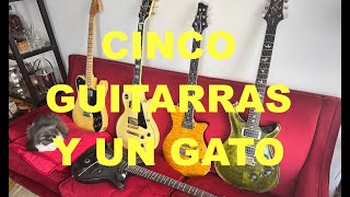 Cinco Guitarras y un PLUGIN: ¿Escuchas diferencias?