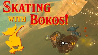 Skateboarding With Bokoblins | The Legend of Zelda: Breath of the Wild