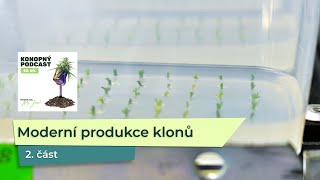 KP 50: Moderní produkce konopných klonů ve Flowery Field – 2. část