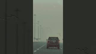 Rain #mazha #qatar #youtubeshorts #youtube #nature