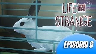 KATE HA UN CONIGLIO TENERISSIMO! ♥_♥ - Life is Strange Ep.6