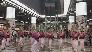 Awa Odori Festival In Kawasaki