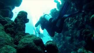 Scuba diving - Egypt