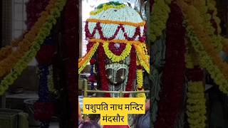 Sawan song | Mahadev mandir mandsaur | पशुपति नाथ मन्दिर मंदसौर #trending #youtubeshorts #mahadev