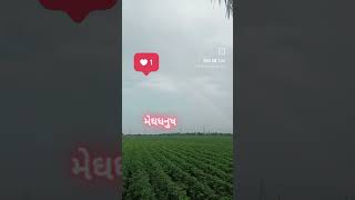 #farming #myfarminglife #gamdu #shortvideoviral #meghdhanush#khedutstatus