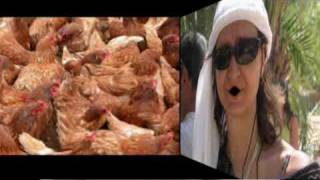 influenza aviaria H5N1.wmv