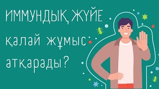 Иммундық Жүйе Қалай Жұмыс Жасайды? | Адам "Антивирусы"