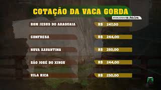 COTAÇÃO DIÁRIA DO BOI GORDO YouTube