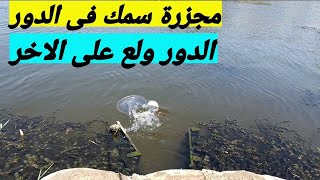 مجزرة سمك فى الدور( انفجار فى الدور) من كتر السمك