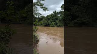 Excelente chácara 55 mil metros, apenas 100 km de Goiânia, GO -020. Beira Rio #agro  #fazendasavenda