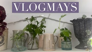 🌱VLOGMAYS🌱 more pootling through the day getting all sorts done.