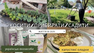 ВЛОГ в селі 🏡покосила ГАЗОН 👌приготувала КАПУСТЯНИКИ🌾 нові РОСЛИНКИ знову!😳 підтримую українське🇺🇦