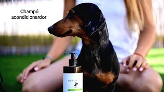 Champú Natural para perros🐶🌿