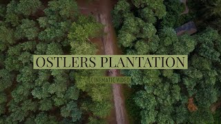 OSTLERS PLANTATION - CINEMATIC VIDEO [4K] - DJI MAVIC