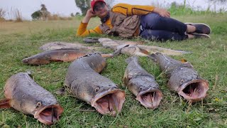 Back to Back catch snakehead || Murrel fishing || Best fishing video || #part 1