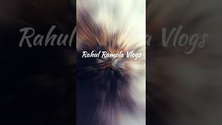 #rahulramolavlogs trendig song kaayi short kaisa laga?