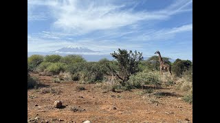 Kilimanjaro Hike via Rongai Route January 2023