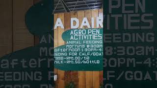 Desa Dairy Farm activity