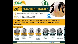 28e " Mardi du BAME " : AUTOSUFFISANCE EN MOUTONS DE TABASKI AU SENEGAL...