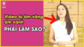 Hướng dẫn điều chỉnh máy ảnh khi bạn quay video bị ám vàng, ám xanh - Máy ảnh cũ Hà Nội