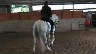 Equitazione Classica Dressage - Francesco Vedani - Preparazione ai cambi di galoppo I