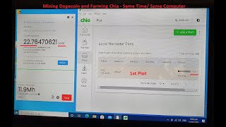 Doge Mining & Chia Farming at the same time in one Computer