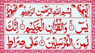 Surah Yaseen | Yasin Sharif | Episode 482 | With Arabic Text HD | Read Daily Quran