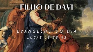 EVANGELHO DO DIA 18/11/2024 - LUCAS 18,35-43 - FILHO DE DAVI