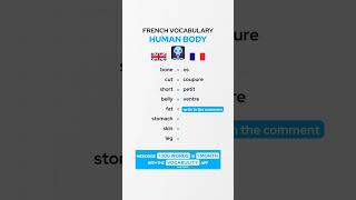 Human Body French Vocabulary 🇫🇷