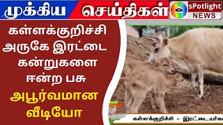 கள்ளக்குறிச்சி அருகே இரட்டை  கன்றுகளை ஈன்ற பசு -அபூர்வமான  வீடியோ