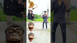 14 October 2024बंदर मामा आए पेंट पजामा ले देखो कुत्ता आया फिर बिल्ली आई 🐒 cat dog funny VFX viral